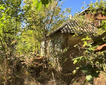 Дом в селе под Киевом