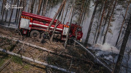 Последствия пожара в Чернобыльской зоне