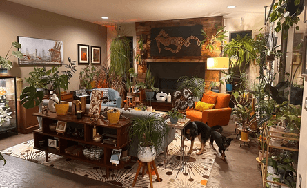 Житло холостяка, переробка квартири, житло холостяка, до і після ремонт, дружина змінила інтер'єр, квартира з рослинами, зелений будинок