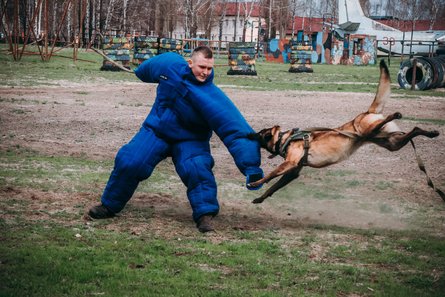 кинологи, мвд, нацгвардия, животные, соревнования