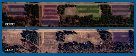 Майже всі гармати були переміщені або вивезені