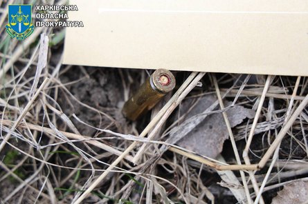 агент РФ, агент Росії, агент ФСБ, ФСБ