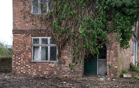 казковий будинок, Англія, Девід Кемп, дика природа, нерухомість у Британії, бджоляр, бджоляр