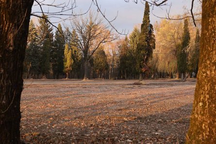 У Львові готують нову ділянку для поховання військових