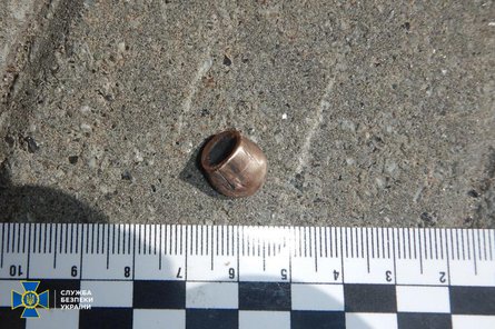 нападение на Стерненко, нападающая на Стерненко, пуля, пуля попала в Стерненко