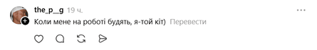 Котик насмішив мережу