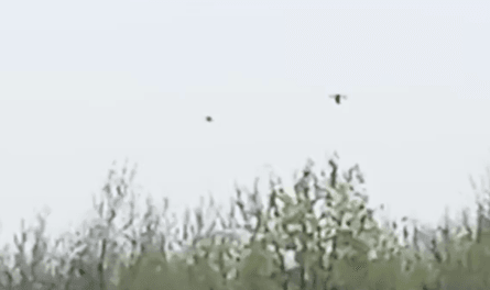 ураження дронів