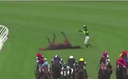 Пригоди на перегонах, кінь, жокей, падіння