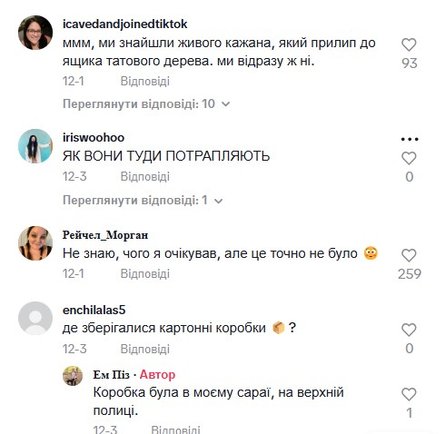 Ялинкові прикраси, коментарі про знахідку, Новий рік, Різдво, жіки, кульки ялинка, терміти