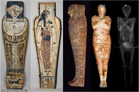 давньоєгипетська мумія, варшава, дослідження