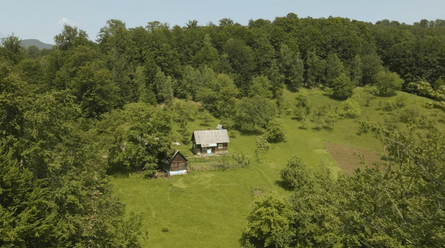 Хата Марії сред лісу