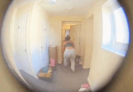 Суд запретил женщине держать животных после жестокого обращения с псом