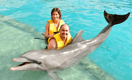 Супруги попали в шторм во время круиза, круизный лайнер, круиз, корабль мечты, годовщина свадьбы, сильный шторм, шторм,