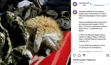 Максим Кривцов, рыжий кот, военный, украинский поэт, война РФ против Украины