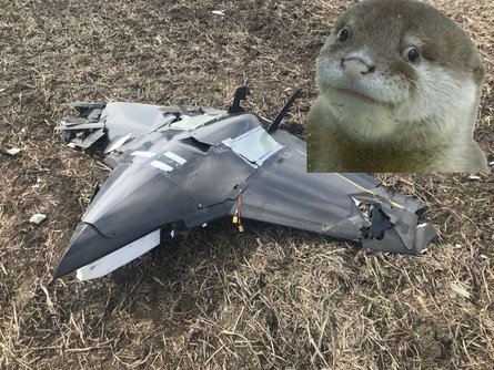 БПЛА, дрон, фото