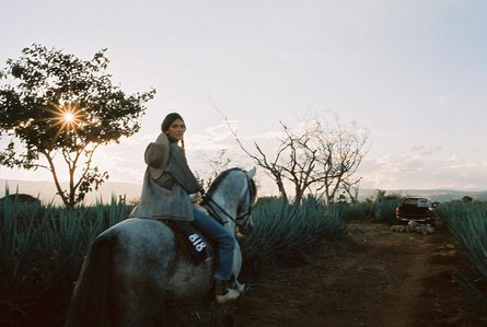кендалл дженнер, текила, мексика, культурная апроприация