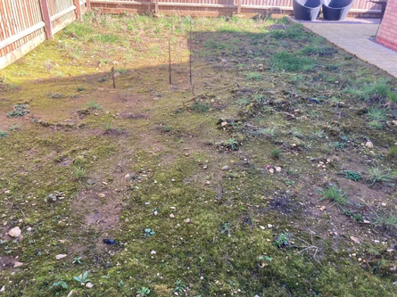 Застройщик попал в скандал, дома, жилой массив, недвижимость, жилье, Великобритания, жалобы, фото