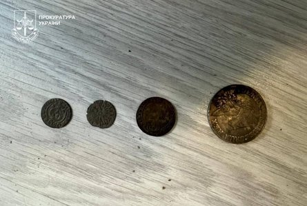 Черный археолог нашел бронзовые топоры-кельты