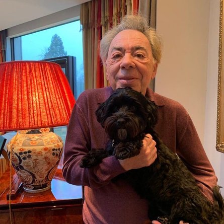 Эндрю Ллойд Уэббер, композитор, автор мюзиклов, мюзикл кошки, мюзикл