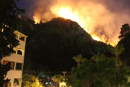 пожежі в Туреччині