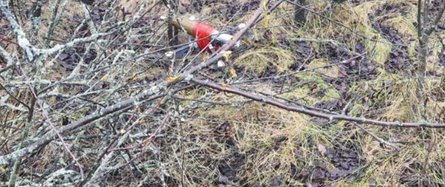 FPV, дрон, боеприпас