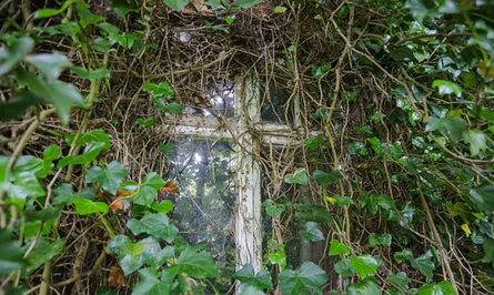 Заброшенный дом, купить недвижимость, фото, аукционы, ремонт, продажа жилья, Великобритания, капсула времени, Великобритания