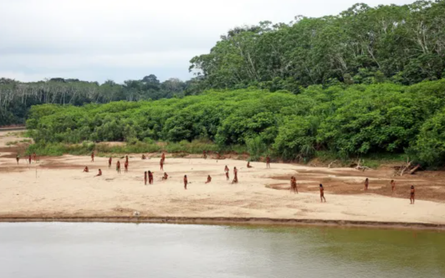 Машко Пиро, одно из самых закрытых в мире племен взбунтовалось против лесозаготовителей, Перу, аборигены, дикари