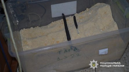 Наркоторговцы из Одессы торговали психотропом собственного производства