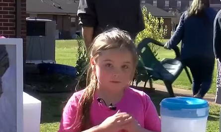 Встановлення пам’ятника для матері, дівчинка сама зібрала гроші на надгробок, США, курйози, зворушливі історії, фото