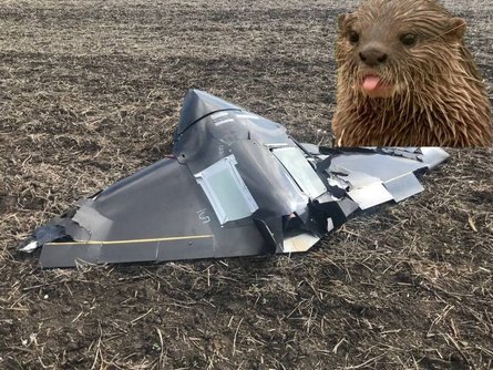 БПЛА, дрон, фото