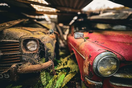 Раритетные авто, машины, фото, находка, Великобритания, курьезы, туризм, путешествия