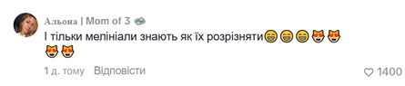 Реакция сети на братьев Борисенко