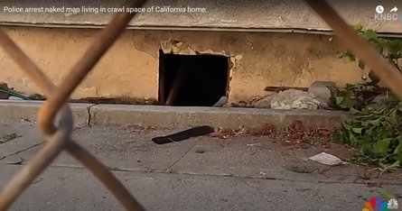 Приключение с голым мужчиной, Лос-Анджелес, подвал дома