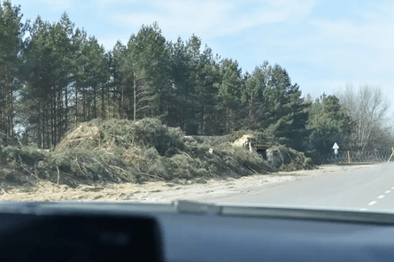 ЧАЭС, Чернобыльская АЭС, Чернобыльская зона, Чернобыль, Припять, Чернобыльская зона отчуждения, зона отчуждения