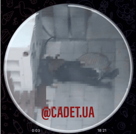 курсант самоубийство, курсант львов, самоубийство львов, МВД Украины львов, вуз МВД Украины