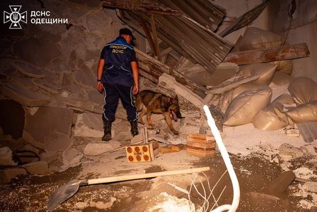 Обвал в Одессе, ГСЧС, 21 июля, морской порт, кинологи