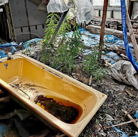 Что происходит с домом, в котором никто не живет, заброшенный особняк, особняк сгнил, фото, Великобритания, жилье