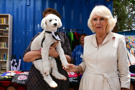 Королева Камилла