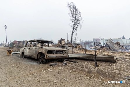 сибирь пожары, лесные пожары, россия пожары, лесные пожары в россии, уяр