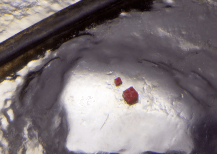 (фото:Jacqueline Lindon)