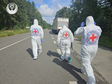 Красный Крест присоединился к обмену телами