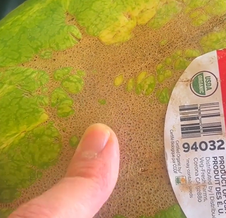 Как выбрать спелый арбуз, признаки вкусного, сладкого арбуза, лайфхаки, советы, видео, социальные сети