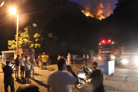 пожежі в Туреччині