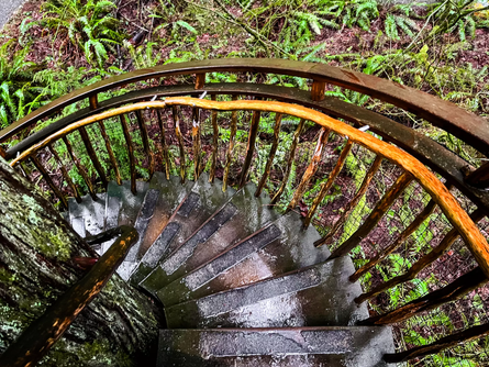 Домики на дереве в США, отель Treehouse Point, домики посреди леса, интерьеры, уникальные локации, путешествия, туризм