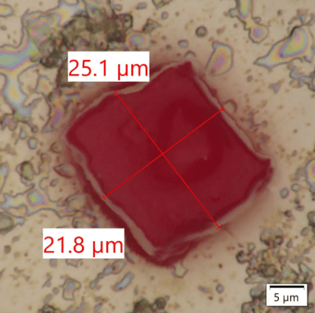 (фото:Jacqueline Lindon)