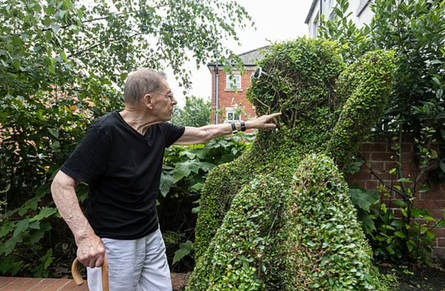 Кущ у формі оголеної жінки став визначною пам'яткою у Шеффілді, приколи, цікаві новини, курйози