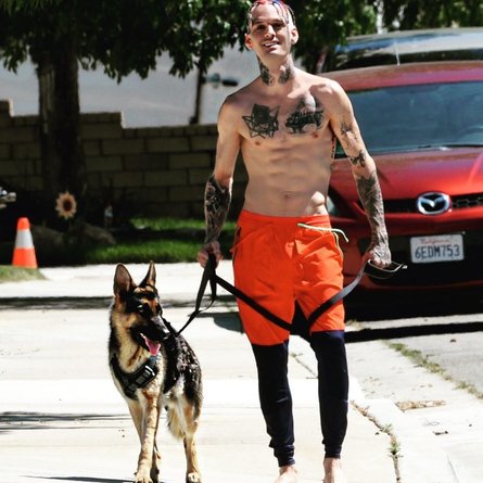 Аарон Картер, ник картер, Backstreet Boys, смерть, аарон картер умер