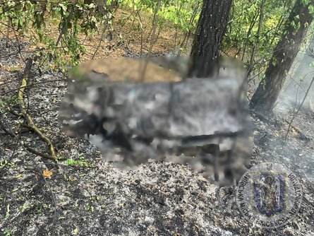 Наслідки падіння уламків в лісопарковій зоні Києва після ракетно-дронової атаки