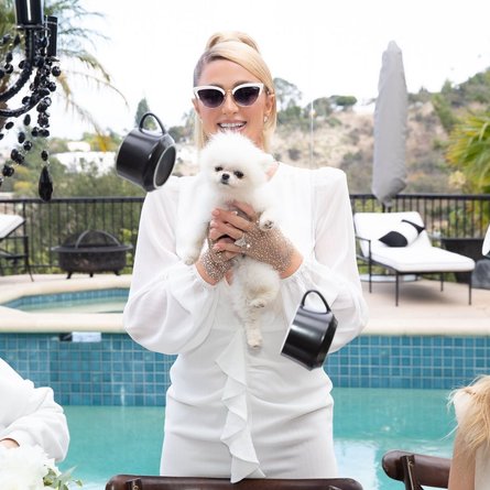 Періс Гілтон, весілля, дівич-вечір, вечірка, Періс Гілтон весілля