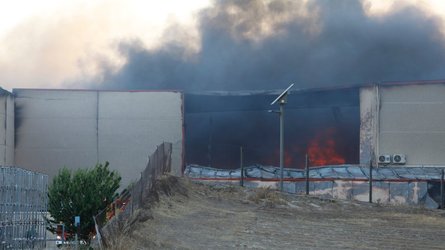 горить хамон, іспанія